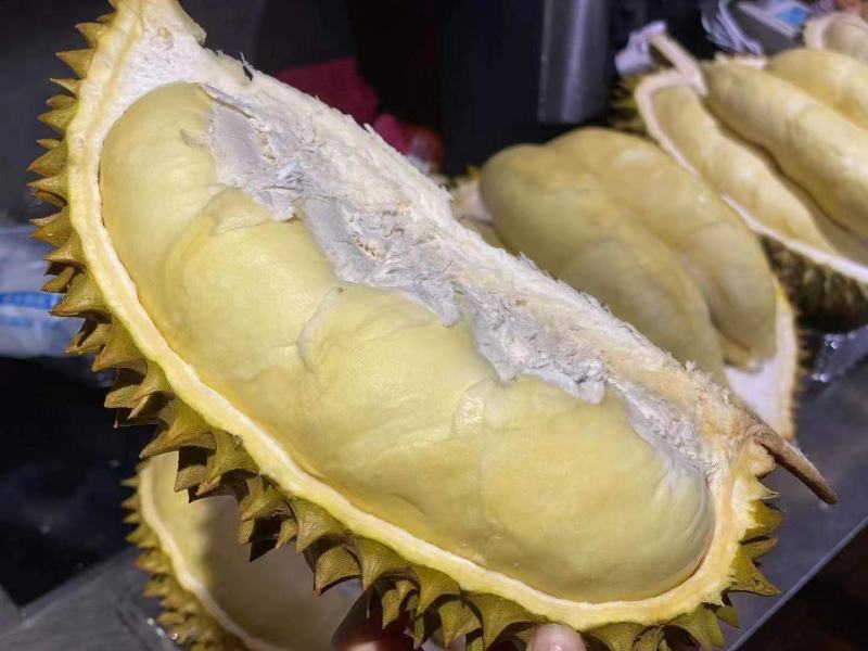 新鲜泰国金枕榴莲，甲仑，拖曼尼，猫山王榴莲，批发一件代发