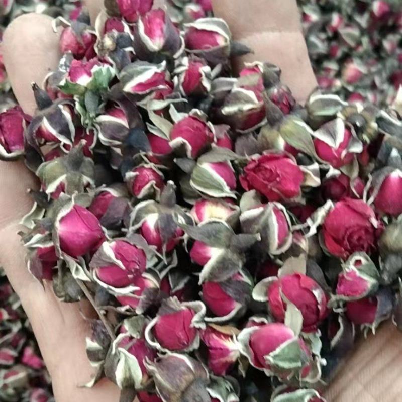 云南特产金边玫瑰花特级精选新货头茬花颜色漂亮实力大货供应
