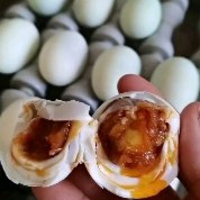 咸鸭蛋烤鸭蛋散养鸭蛋大量批发生产厂家直销