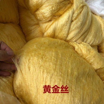 纯手工黄金蚕丝，双宫黄色萤手工制作棉兜，质量保证。