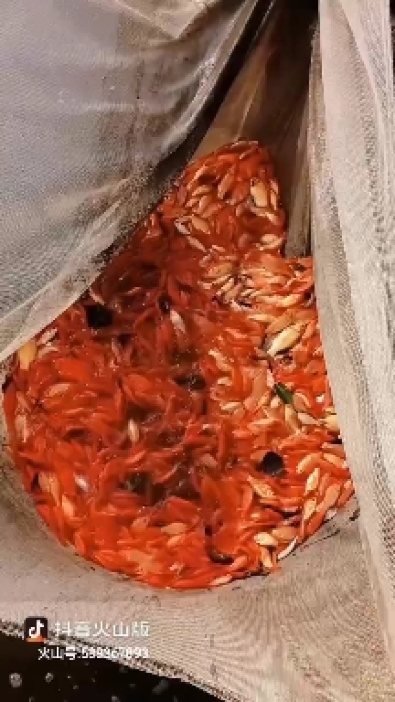 一斤二三十条的红草大量出，15一斤