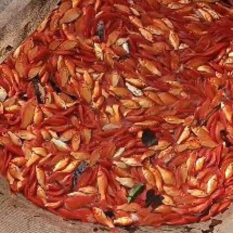 一斤二三十条的红草大量出，15一斤