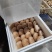 奥吉特牛排菇绿色富硒有机食品