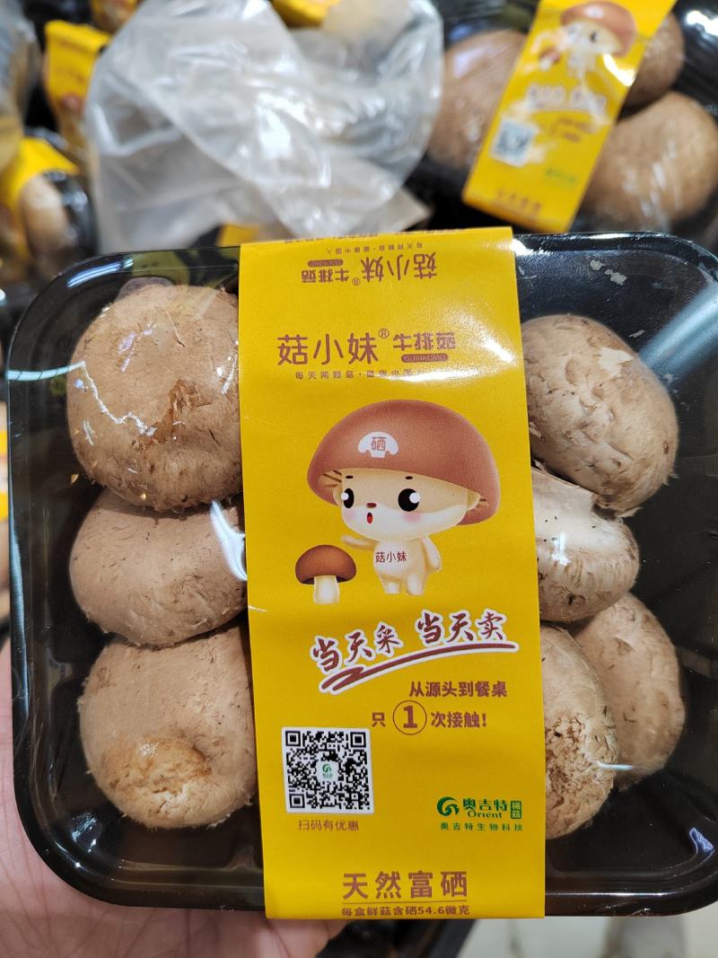 奥吉特牛排菇绿色富硒有机食品