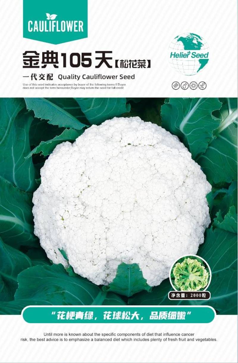 金典105天青梗松花菜种子高产青梗品质好效益高
