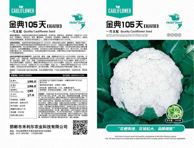 金典105天青梗松花菜种子高产青梗品质好效益高
