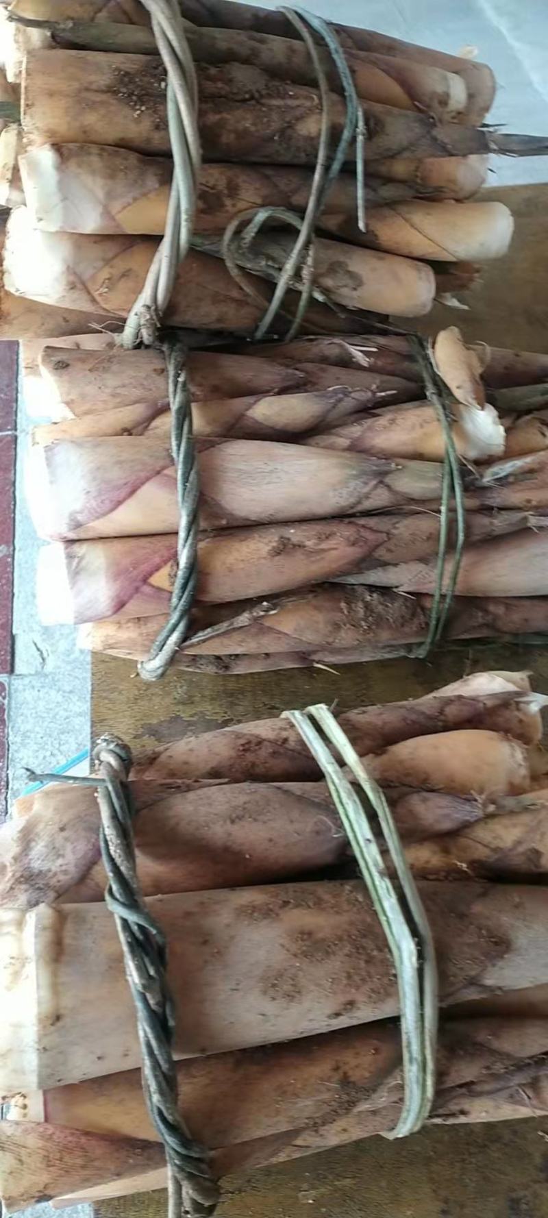 甜笋小量