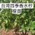 四季香水柠檬苗广东香水柠檬苗奶茶店果嫁接苗种植当年结果