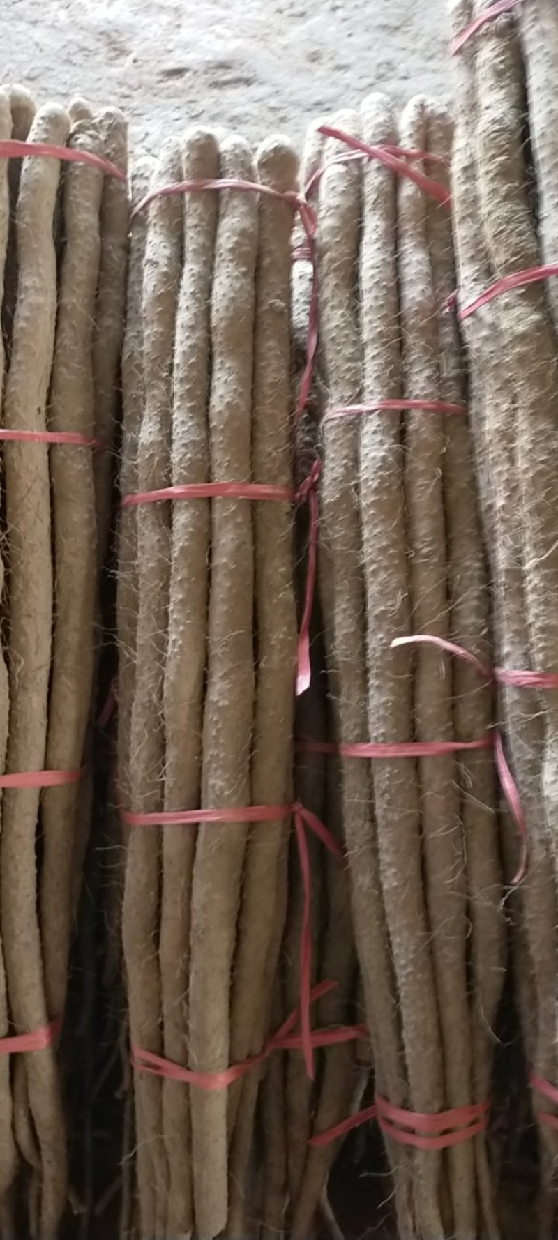 铁棍山药