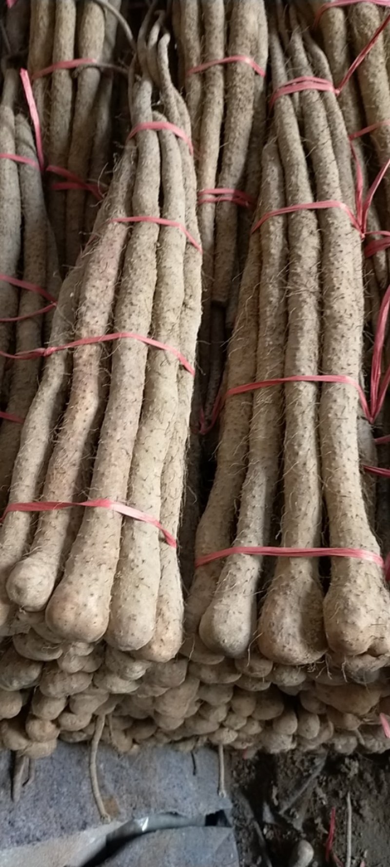 铁棍山药