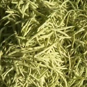 ，白不老芸豆，产地直供，货源充足，优等蔬菜，对接全国