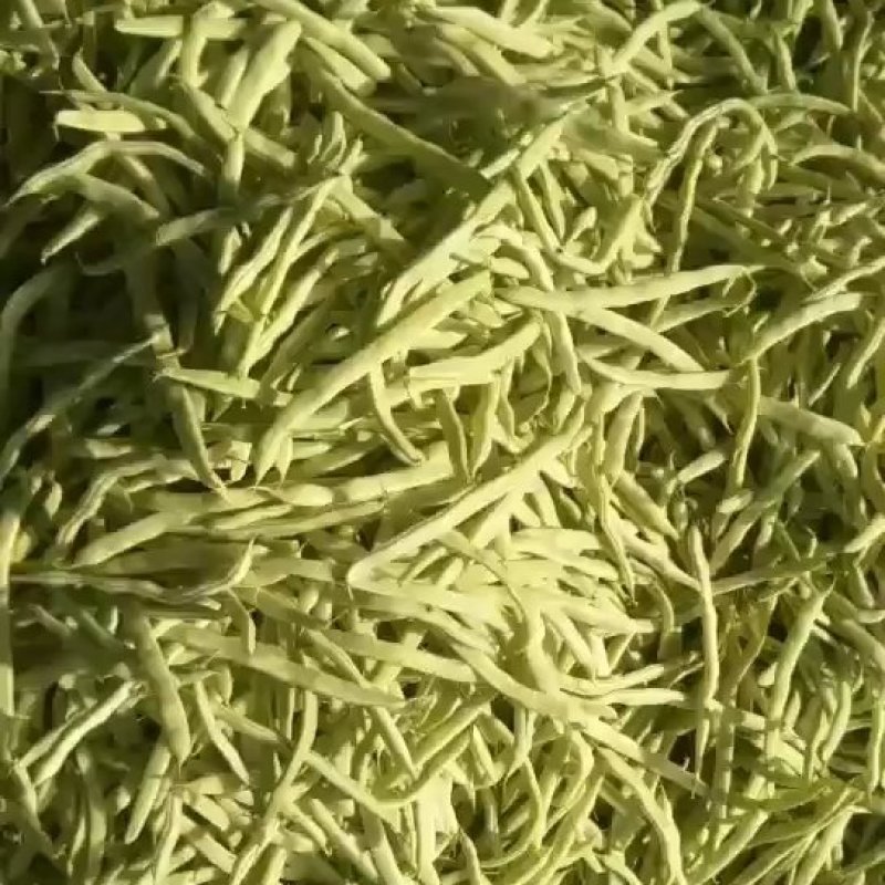 ，白不老芸豆，产地直供，货源充足，优等蔬菜，对接全国