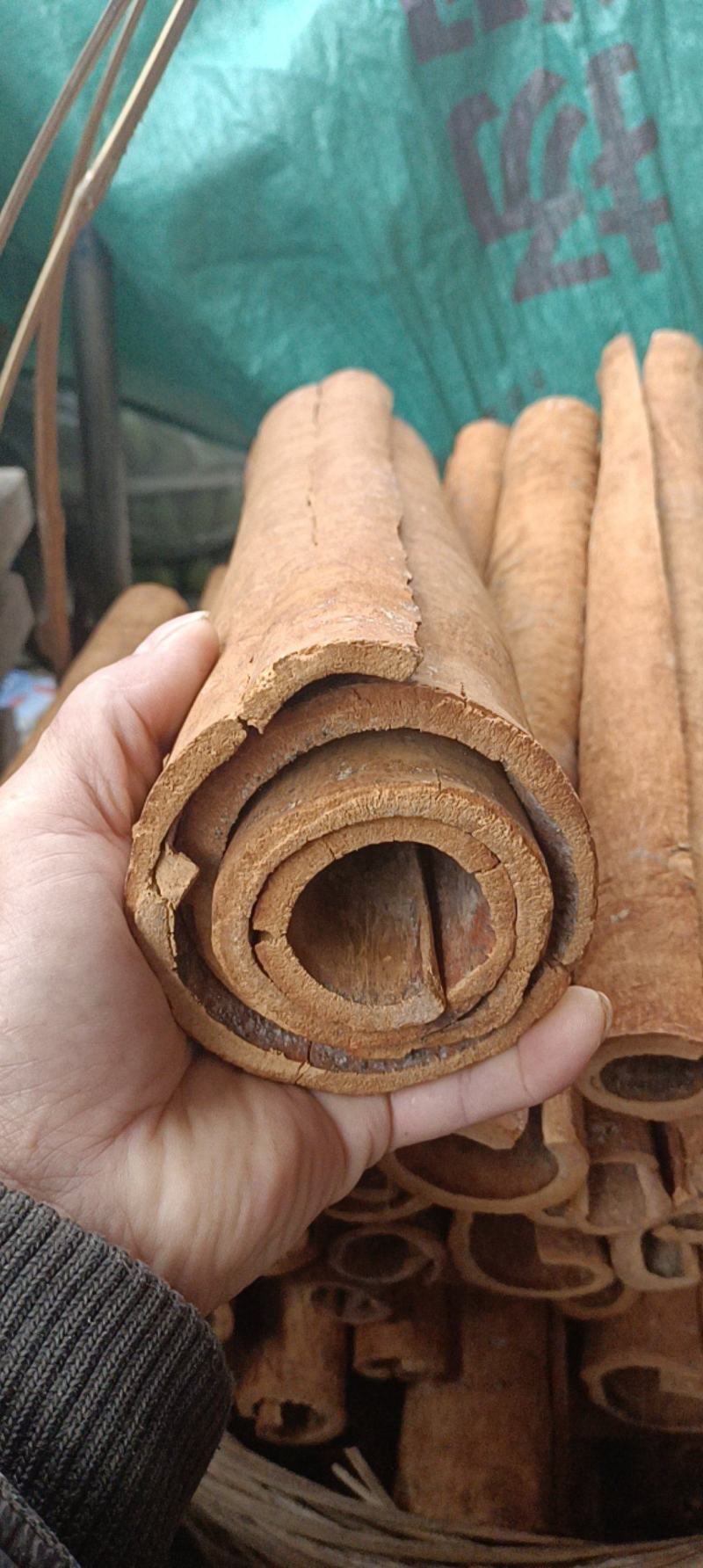 油桂老肉桂黄通辛辣香醇微甜药食同源