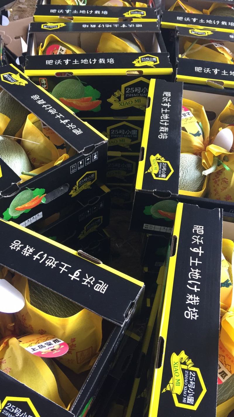 晓蜜25黄25大棚头茬口感脆甜产地直销量大从优