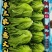 河南内黄县生菜意大利生菜常年有货可供应电商平台，实体店