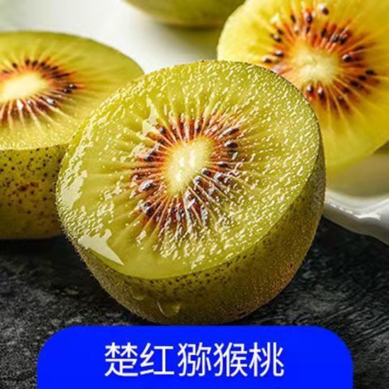 猕猴桃树苗地栽庭院盆栽阳台红心黄心徐香软枣当年结果南北方