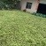 四川大白蚕豆有需要的老板赶紧联系，现在大量有货。