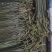 贵州高山野生蕨菜大量供应食品厂超市电商货需要的提前定