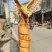 香樟木大展宏图
