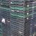 尺寸60*40*22塑料折叠筐，适用于果蔬批发，生鲜配送