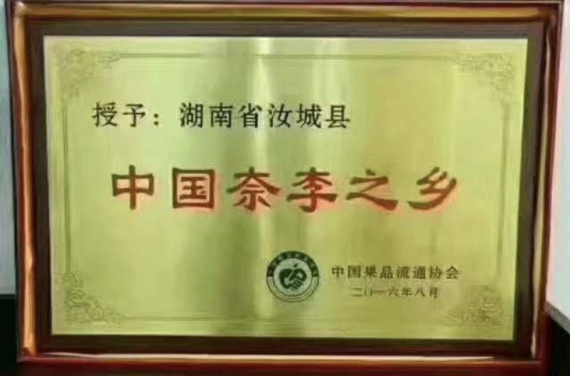 【精选优品】黄金李湖南郴州市种植黄金奈李肉脆纯甜一件代发