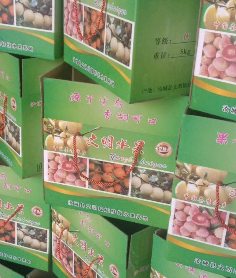 【精选优品】黄金李湖南郴州市种植黄金奈李肉脆纯甜一件代发