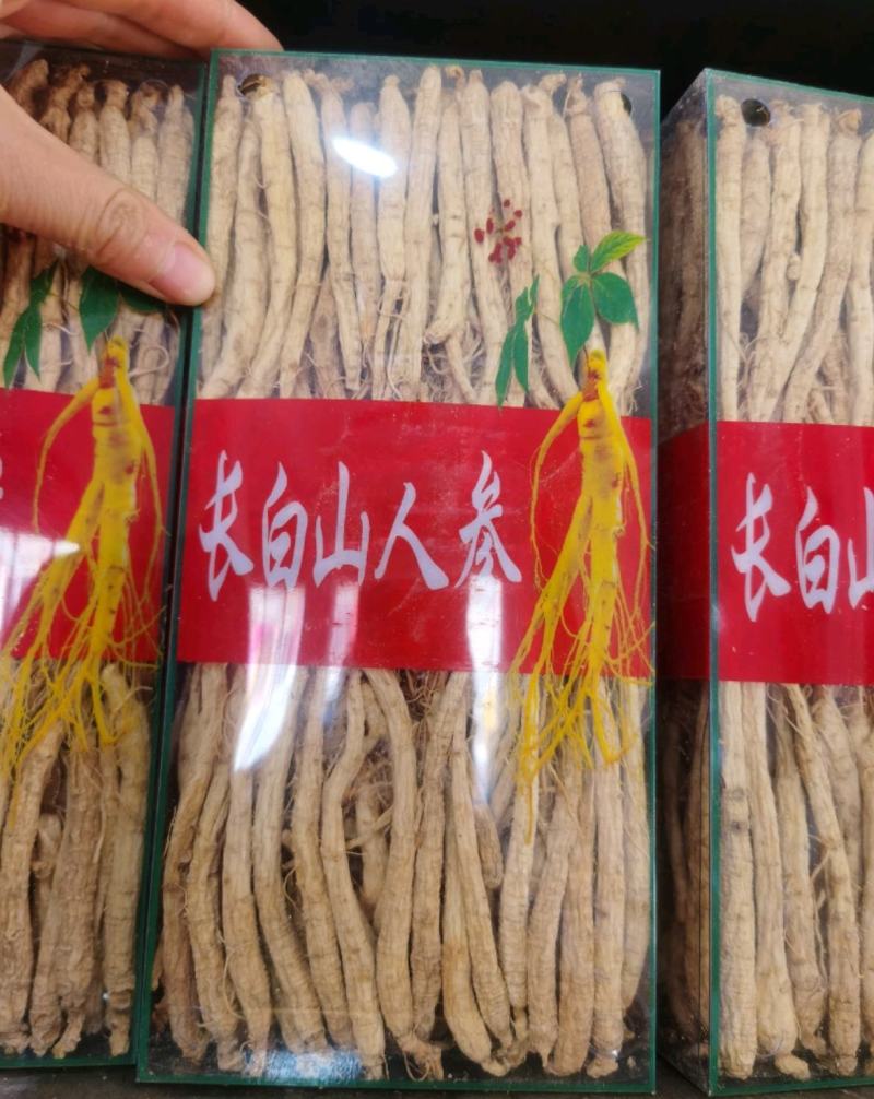 振兴药材白须参中药材批发白须参农产品承接大货白须参
