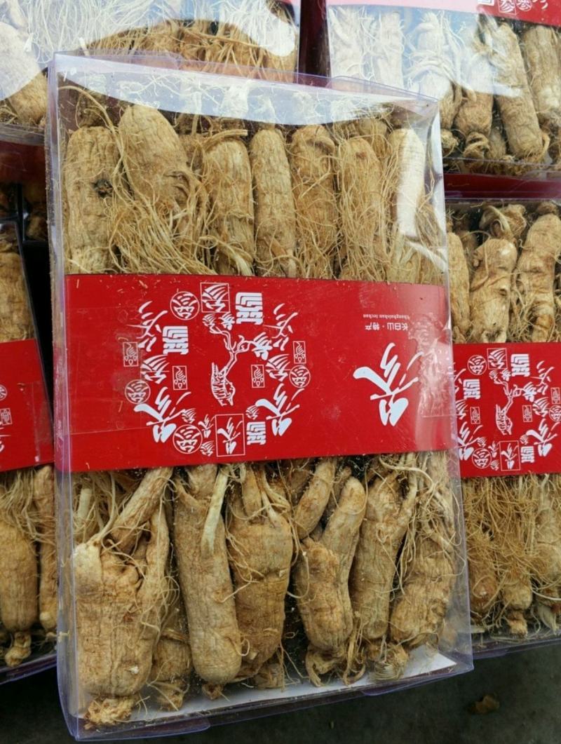 白须参个振兴药材批发供应20-23头白须参个