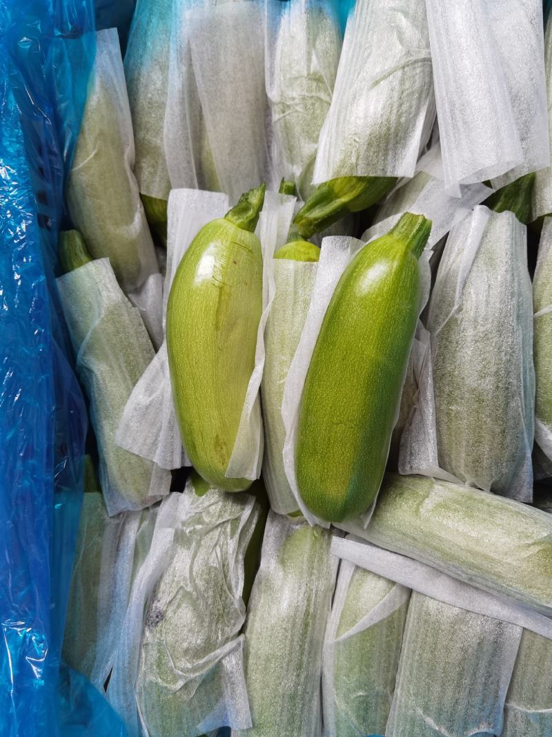 精品西葫芦角瓜大量上市中对接商超连锁电商平台