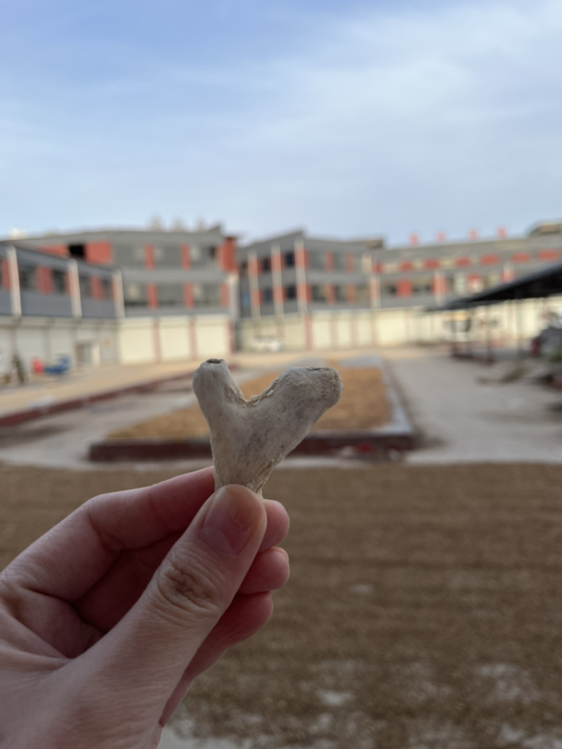 干姜统货产地直发量大从优常年供货