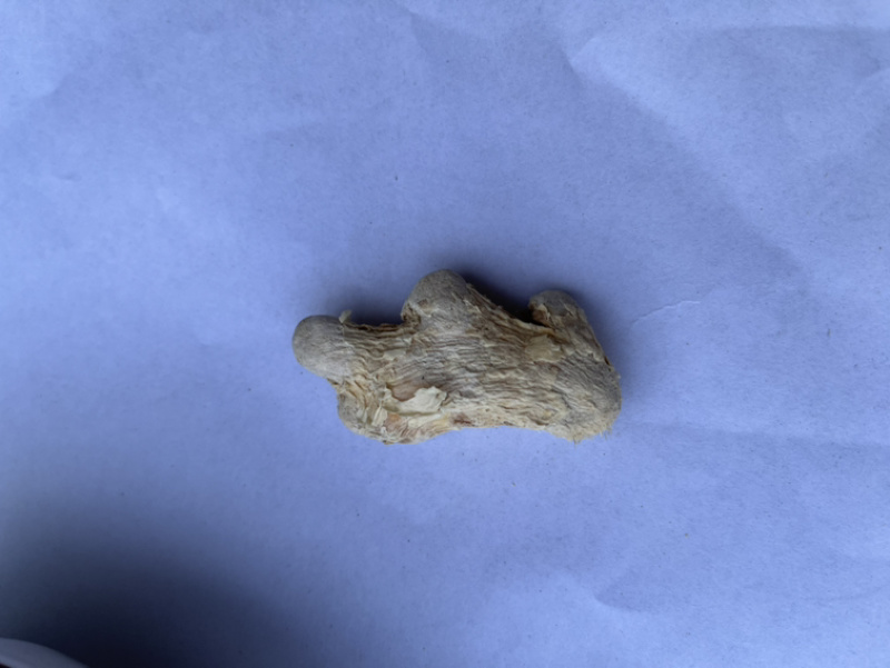 干姜统货产地直发量大从优常年供货