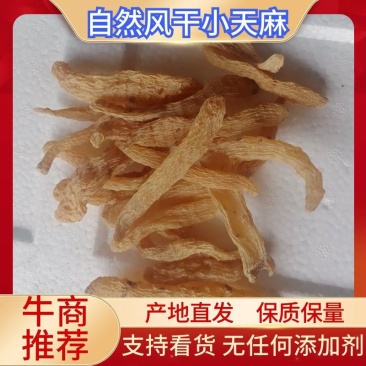 小天麻秦岭深山重野生自然风干小天麻无任何添加剂