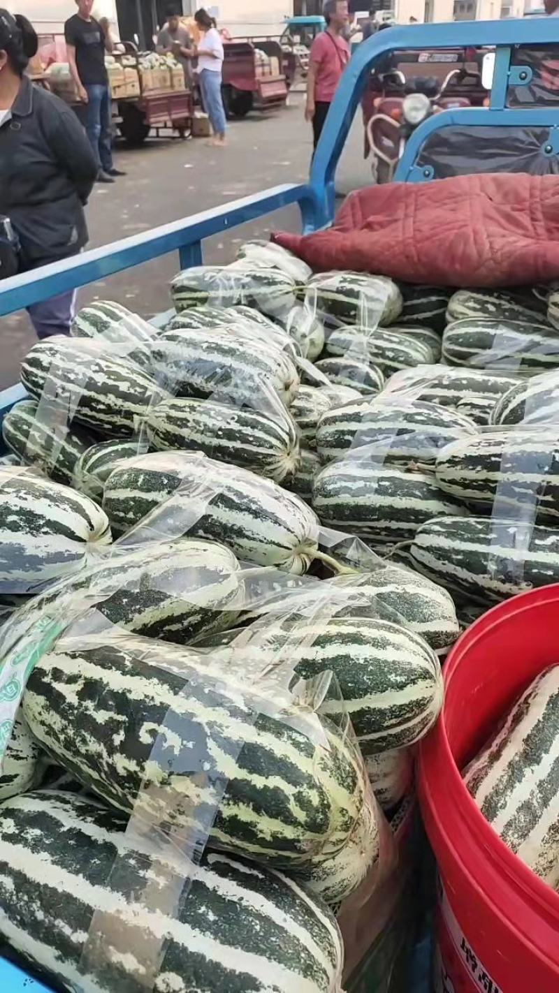 河南内黄县甜瓜博洋6博洋9口感香酥脆甜货量充足价格稳定