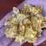 出售玉米压片猪牛羊养殖专用