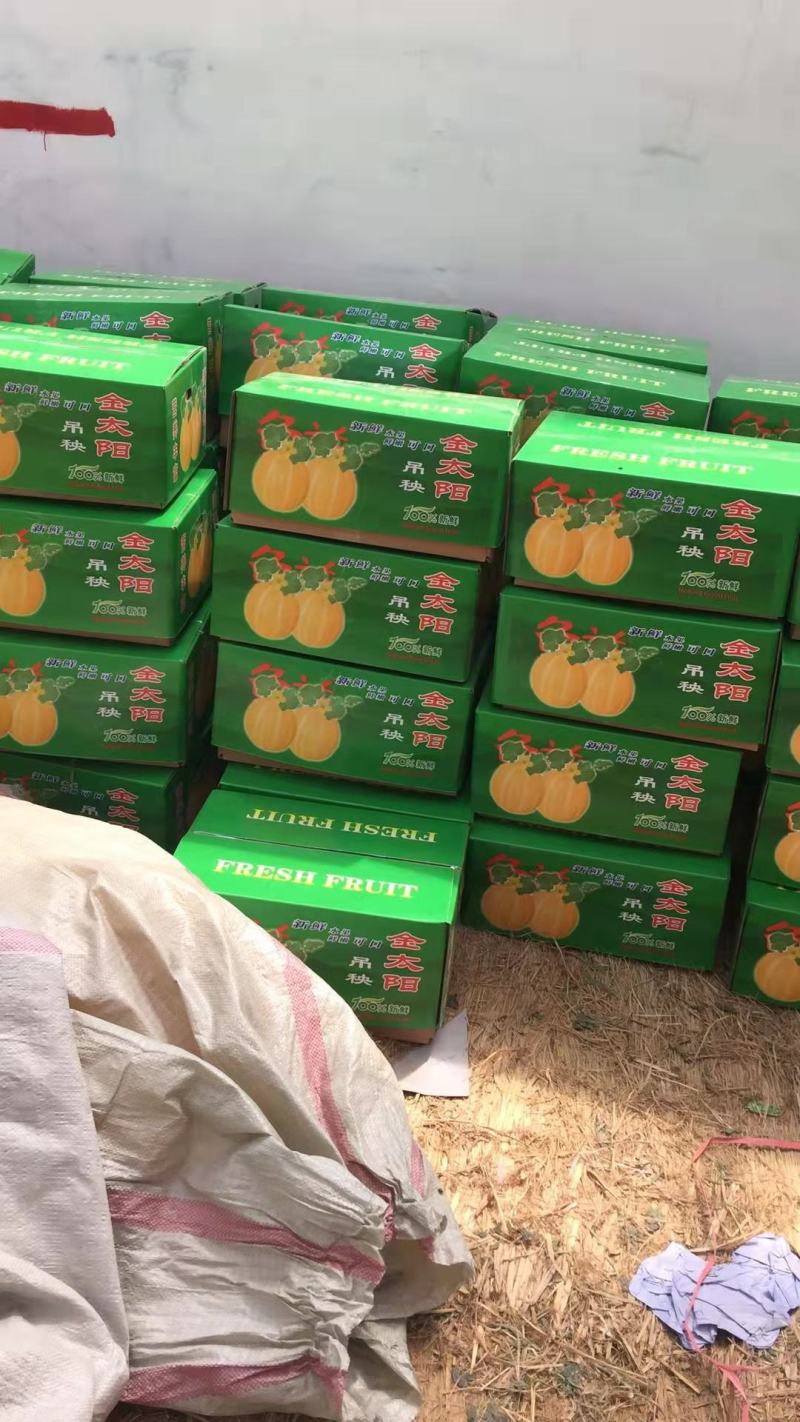 河南内黄县甜瓜绿宝自根苗口感香酥脆甜货量充足价格稳定