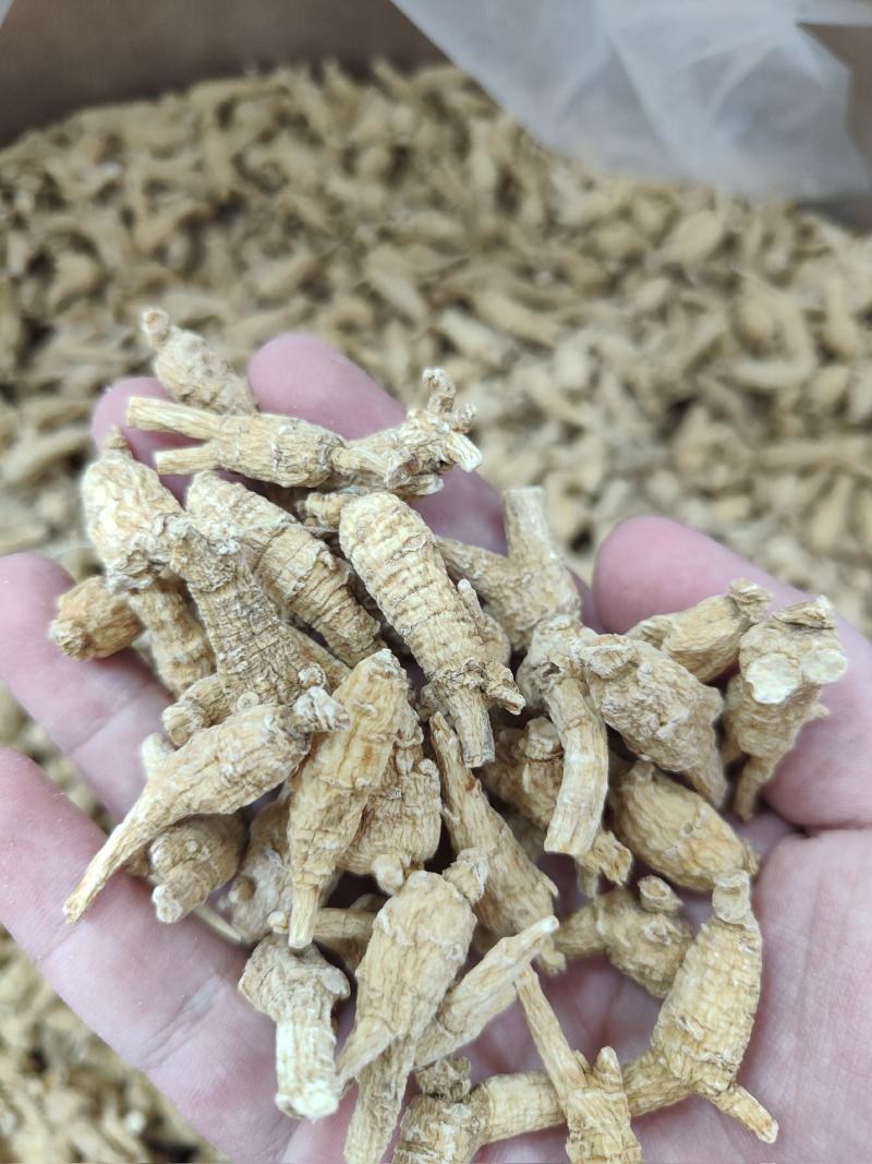 西洋参花旗参加拿大西洋参花旗参选装味道好