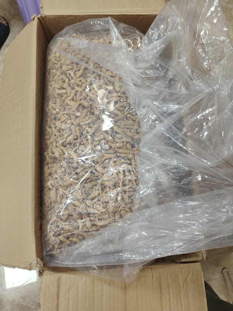 西洋参花旗参加拿大西洋参花旗参选装味道好