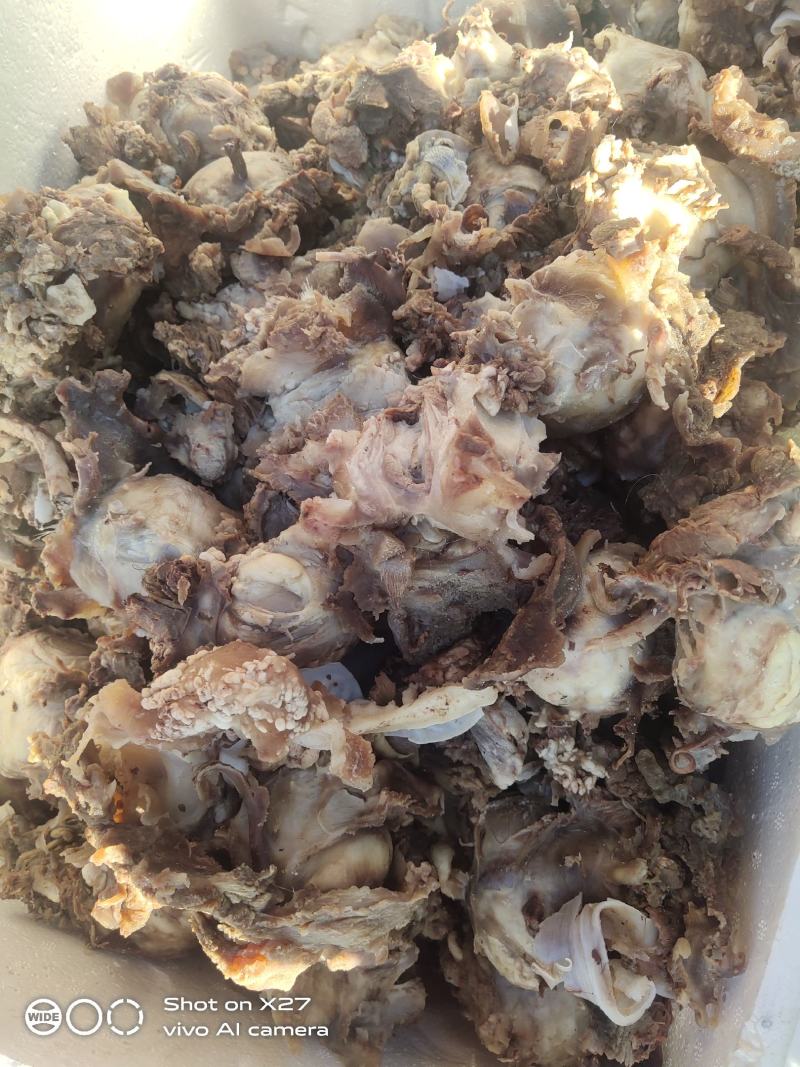 牛头肉(剔骨肉)，工厂直发大量有货欢迎电话联系沟通洽谈