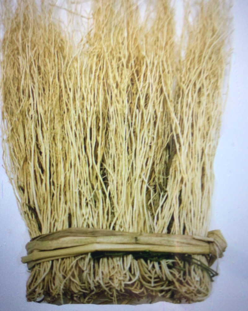 养肝草A货1
