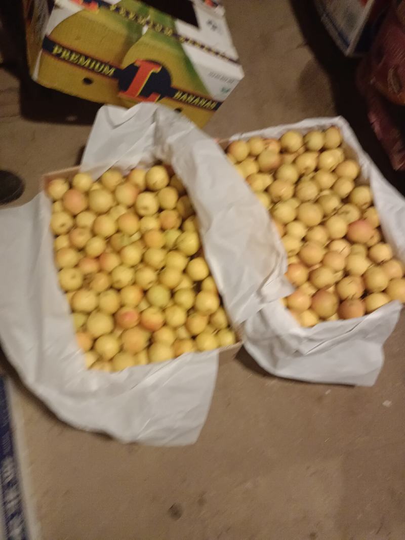 700箱南果梨低价出售