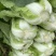 黄心大白菜，玲珑白菜，万亩基地代发全国。