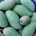 【热销】【金煌芒果】广西百色自有果园现摘现发～欢迎订货