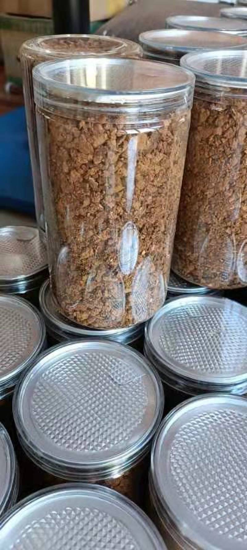 野生桦树茸野生桦树茸颗粒野生桦褐孔菌小粒块整块包邮