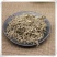 云南野生中药材垂盆草，优质正品，500g起发
