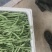 石湾四季豆
