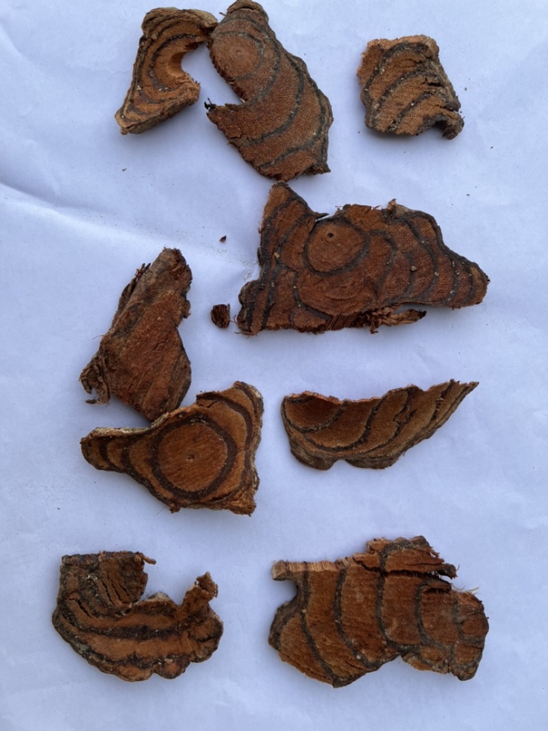 鸡血藤广西鸡血藤三叶鸡血藤血藤新鲜干货产地直销