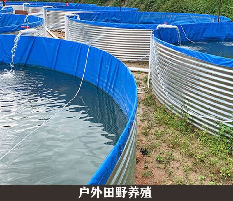 镀锌板高密度帆布池，鱼池挡板养鱼，圆通支架免费送鱼马桶