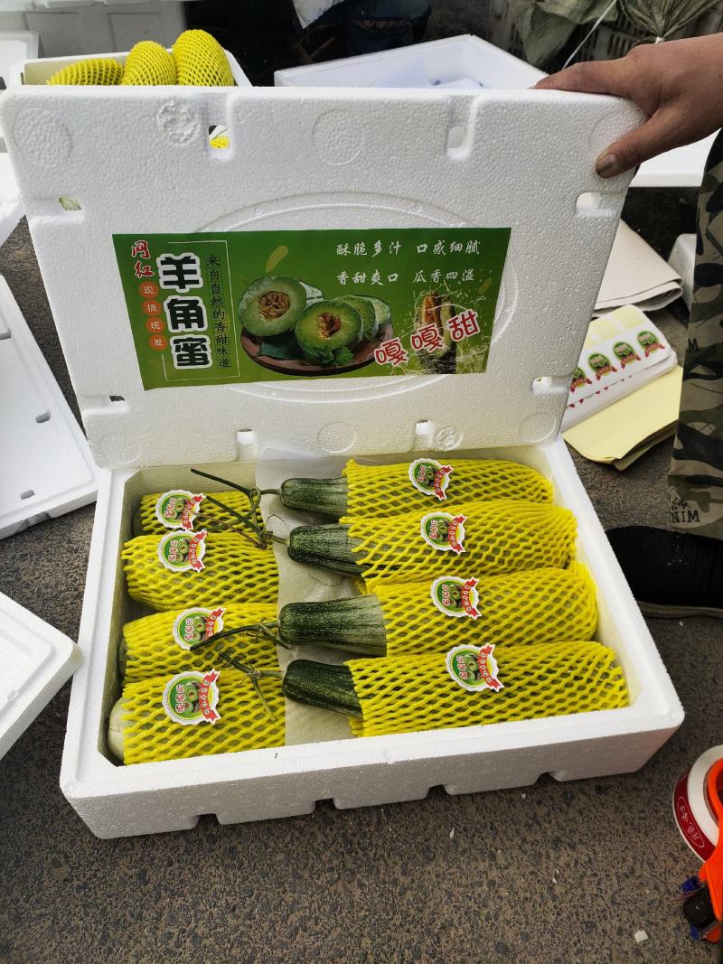 羊角蜜甜瓜，产地大量供应，保质保量，专业代办，代收代发全