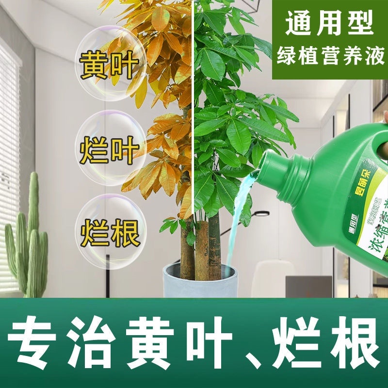 通用型植物营养液土水培营养盆栽花卉绿箩液体化肥液肥料