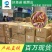 鱼苗红鲤鱼鲲腾鱼苗好鱼苗鲲腾出产地直销百万现货